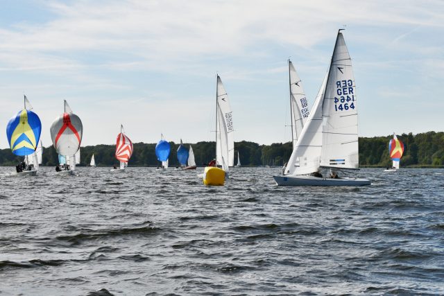 IDM T4 Gate 1-640x427